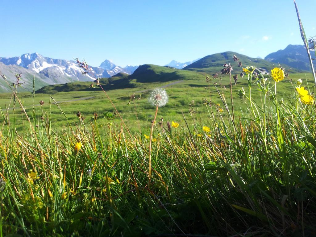 Berggasthaus Tannalp Melchsee Frutt Экстерьер фото